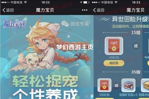 梦幻西游主页